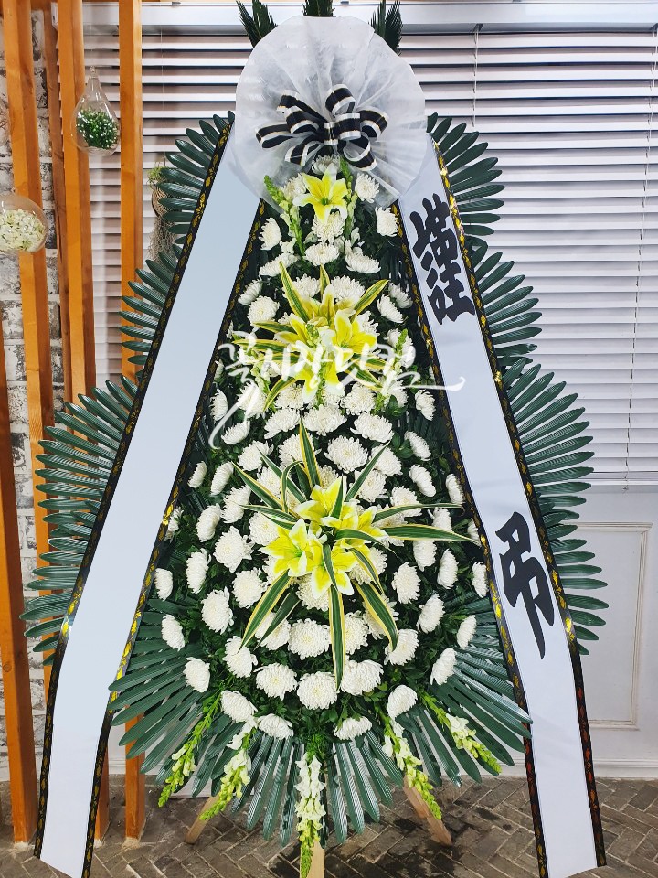 ȭȯ1